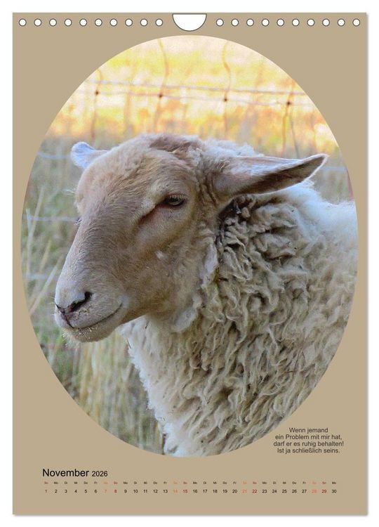 Produktbild: Scharfe Portraits (Wandkalender 2026 DIN A4 hoch), CALVENDO Monatskalender