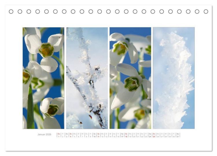 Produktbild: Gartenfreude (Tischkalender 2026 DIN A5 quer), CALVENDO Monatskalender
