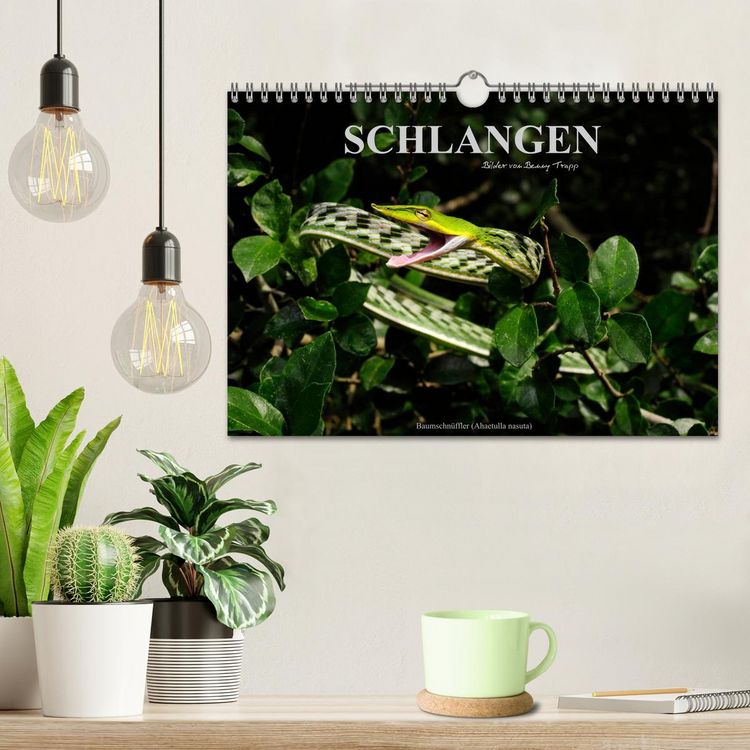 Produktbild: Schlangen (Wandkalender 2026 DIN A4 quer), CALVENDO Monatskalender
