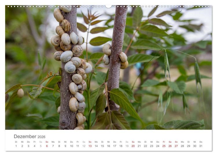 Produktbild: Kreta - Naturlandschaften (Wandkalender 2026 DIN A2 quer), CALVENDO Monatskalender