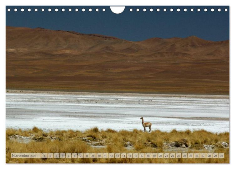 Produktbild: Argentinien Christian Heeb (Wandkalender 2026 DIN A4 quer), CALVENDO Monatskalender