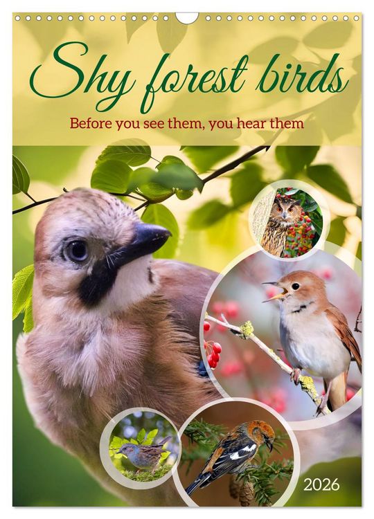 Produktbild: Shy forest birds (Wall Calendar 2026 DIN A3 portrait), CALVENDO 12 Month Wall Calendar