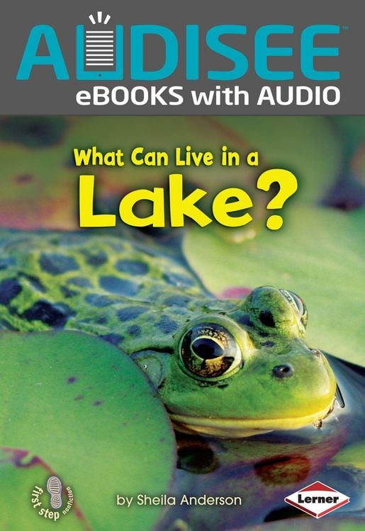 Produktbild: What Can Live in a Lake?