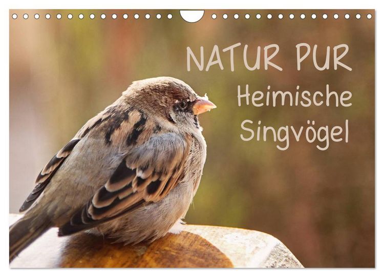 Produktbild: NATUR PUR Heimische Singv&ouml;gel (Wandkalender 2026 DIN A4 quer), CALVENDO Monatskalender