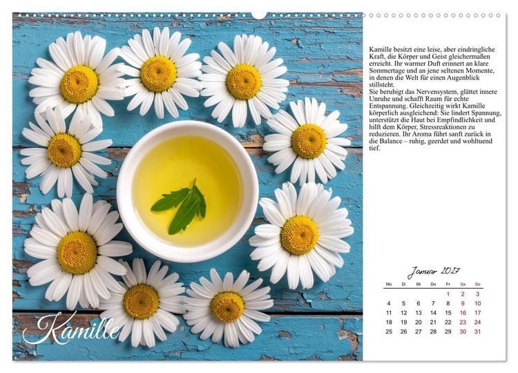 Produktbild: Heilsame Aroma&ouml;le (Wandkalender 2027 DIN A2 quer), CALVENDO Monatskalender