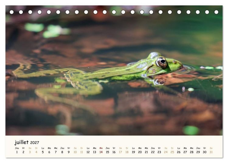 Produktbild: Les voisins du jardin - Une ann&eacute;e de rencontres (Calendrier de bureau 2027 DIN A5 vertical), CALVENDO calendrier mensuel