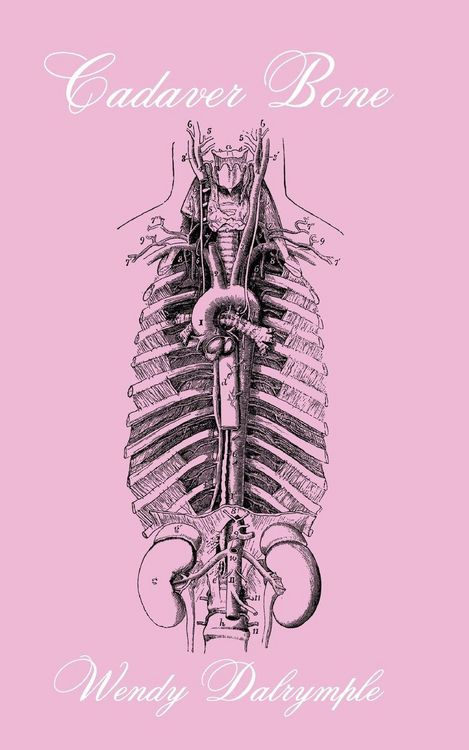 Produktbild: Cadaver Bone