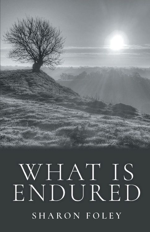 Produktbild: What is Endured