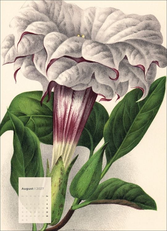 Produktbild: Botanicals Kalender 2027