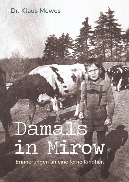 Produktbild: Damals in Mirow