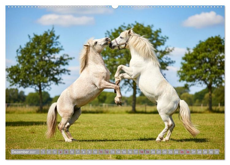 Produktbild: Sattel, Seele und Pferdeliebe (Wandkalender 2027 DIN A2 quer), CALVENDO Monatskalender