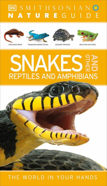 Produktbild: Nature Guide: Snakes and Other Reptiles and Amphibians
