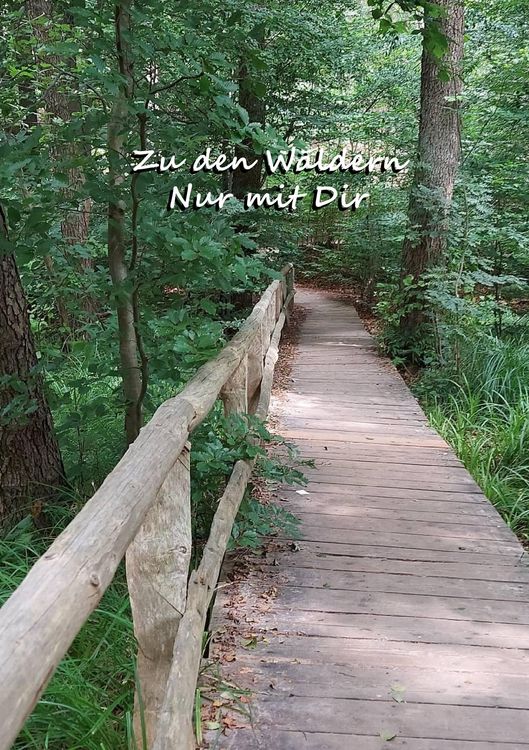 Produktbild: Zu den W&auml;ldern- nur mit dir