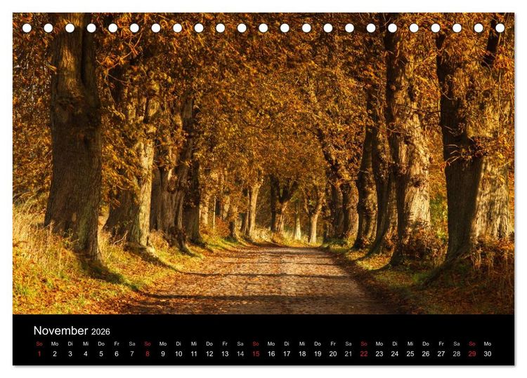 Produktbild: Ostseeinsel R&uuml;gen Impressionen (Tischkalender 2026 DIN A5 quer), CALVENDO Monatskalender