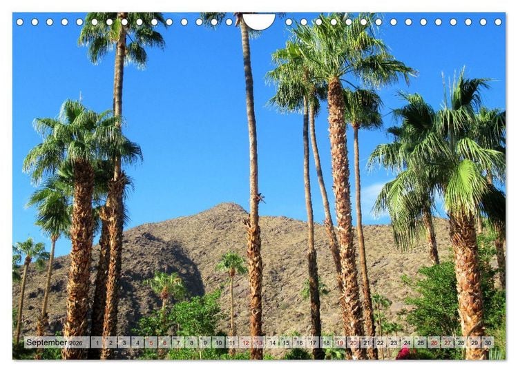 Produktbild: Palm Springs und Umgebung (Wandkalender 2026 DIN A4 quer), CALVENDO Monatskalender