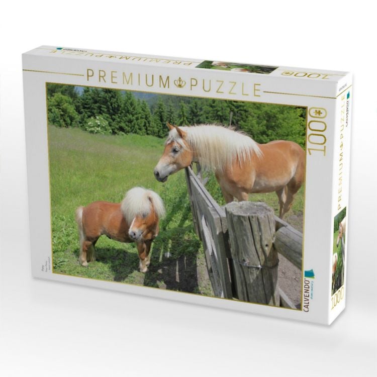 Produktbild: CALVENDO Puzzle Pony | 1000 Teile Lege-Gr&ouml;&szlig;e 64x48cm Foto-Puzzle f&uuml;r gl&uuml;ckliche Stunden
