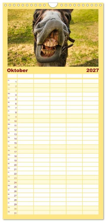 Produktbild: Familienplaner 2027 - Liebenswerte Esel mit 5 Spalten (Wandkalender, 21 x 45 cm) CALVENDO