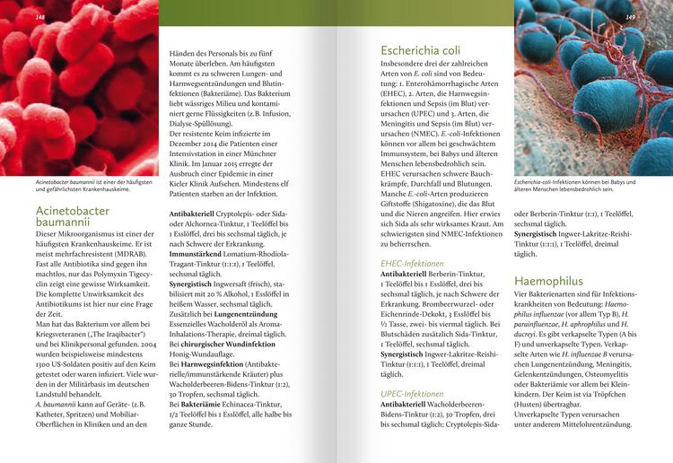 Produktbild: Gr&uuml;ne Antibiotika. Heilkr&auml;ftige Medizin aus dem Pflanzenreich