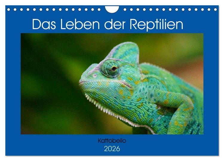 Produktbild: Das Leben der Reptilien (Wandkalender 2026 DIN A4 quer), CALVENDO Monatskalender