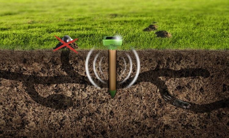 Produktbild: Gardigo W&uuml;hlmausvertreiber Funktionsart Solar Wirkungsbereich 1250m&sup2; 1St.