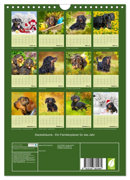 Produktbild: Dackeltr&auml;ume - Ein Familienplaner f&uuml;r das Jahr (Wandkalender 2026 DIN A4 hoch), CALVENDO Monatskalender
