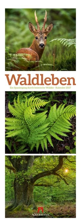 Produktbild: Waldleben Triplet-Kalender 2027 | Spaziergang durch heimische W&auml;lder