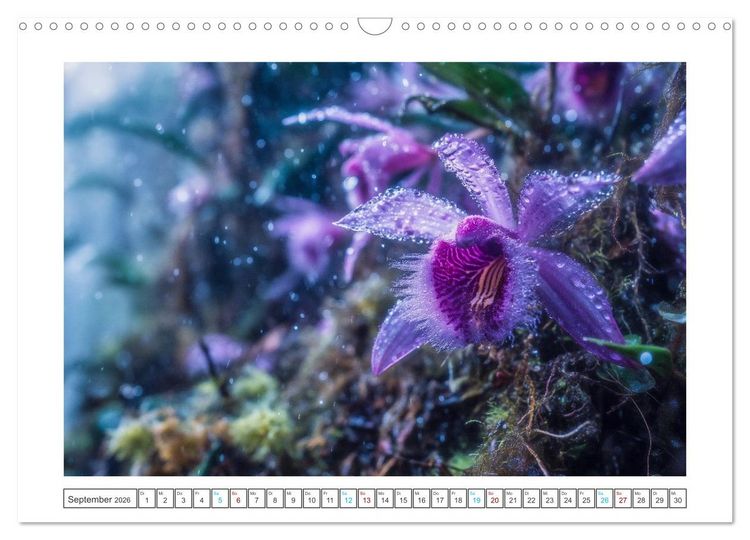 Produktbild: Zwischen Natur und Kunst (Wandkalender 2026 DIN A3 quer), CALVENDO Monatskalender
