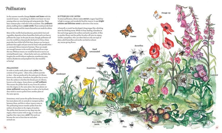 Produktbild: Wilding: How to Bring Wildlife Back - an Illustrated Guide