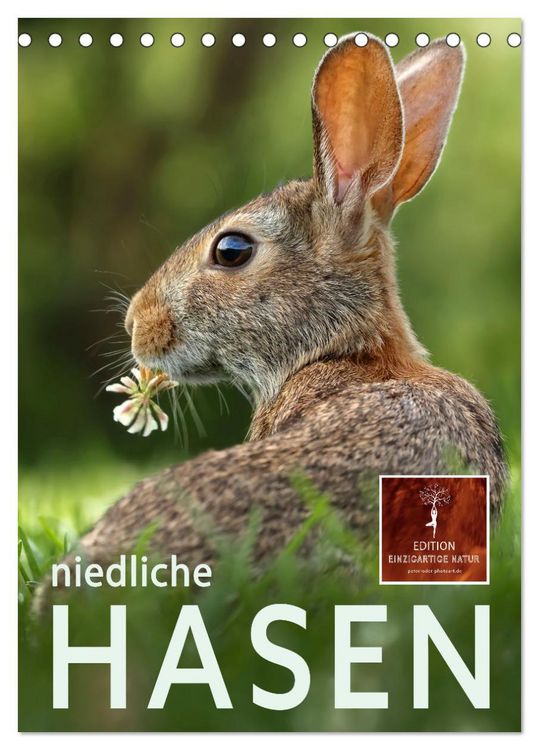 Produktbild: Niedliche Hasen (Tischkalender 2026 DIN A5 hoch), CALVENDO Monatskalender