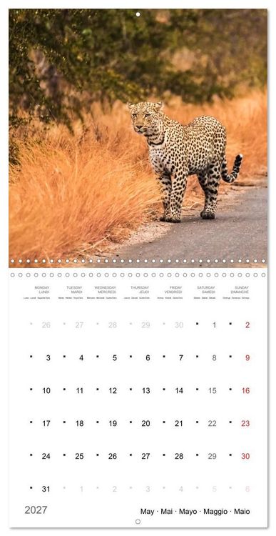 Produktbild: Adventure South Africa 2027 (Wall Calendar 2027 12 &times; 12 Inch) CALVENDO 12 Month Wall Calendar