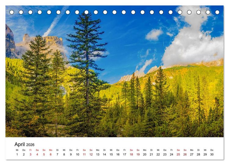 Produktbild: W&auml;lder: die letzte Zuflucht f&uuml;r die Wildnis (Tischkalender 2026 DIN A5 quer), CALVENDO Monatskalender