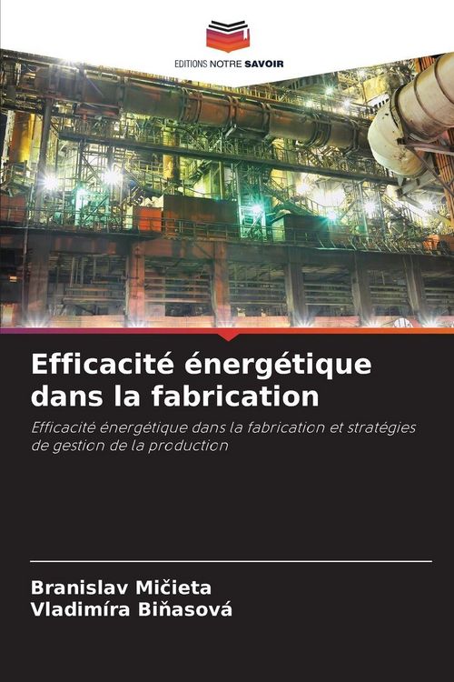 Produktbild: Efficacit&eacute; &eacute;nerg&eacute;tique dans la fabrication