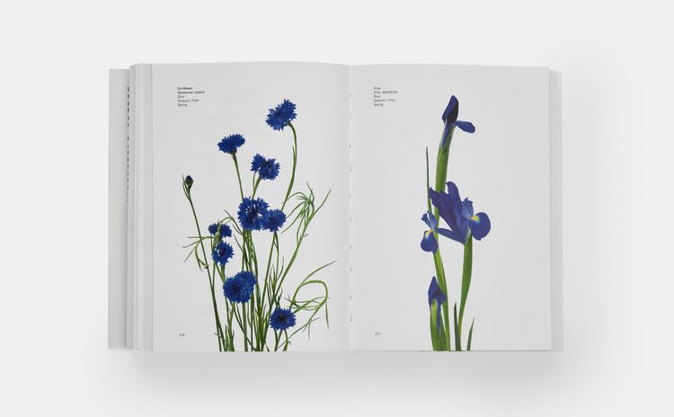 Produktbild: Flower Colour Guide