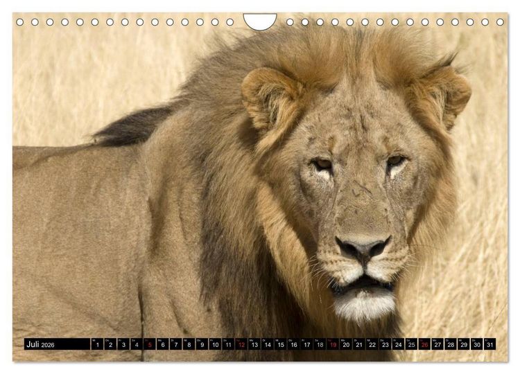 Produktbild: Faszination Namibia (Wandkalender 2026 DIN A4 quer), CALVENDO Monatskalender