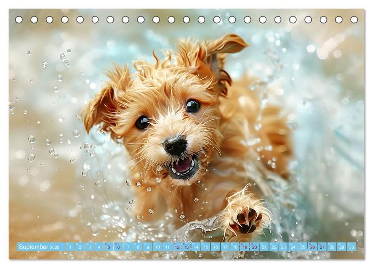 Produktbild: Hunde und Wasser (Tischkalender 2026 DIN A5 quer), CALVENDO Monatskalender