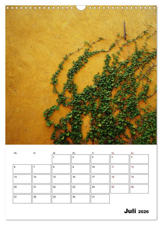 Produktbild: Mauerbl&uuml;mchen - Poesie im Allt&auml;glichen als Monatsplaner (Wandkalender 2026 DIN A3 hoch), CALVENDO Monatskalender