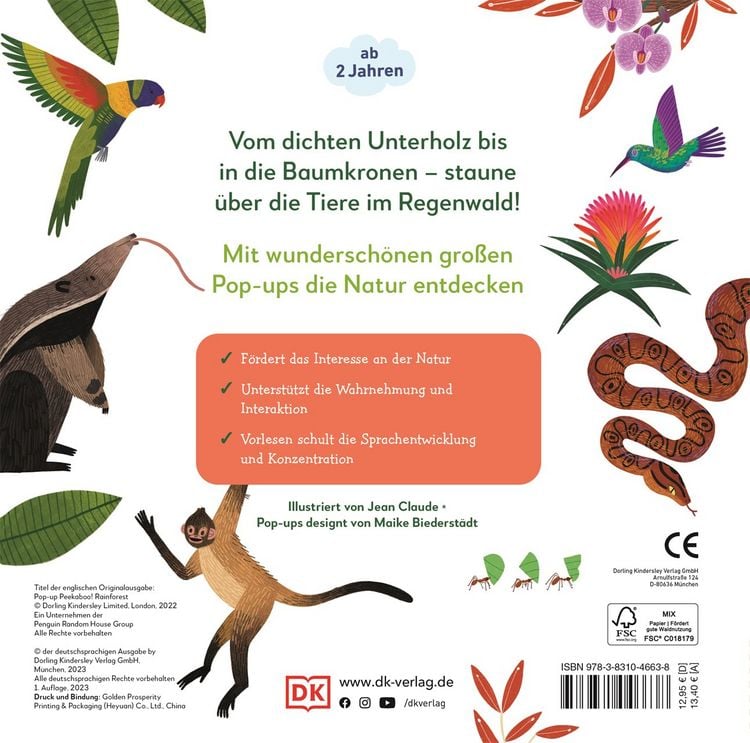 Produktbild: Mein Pop-up-Buch zum Staunen. Wer lebt im Regenwald?