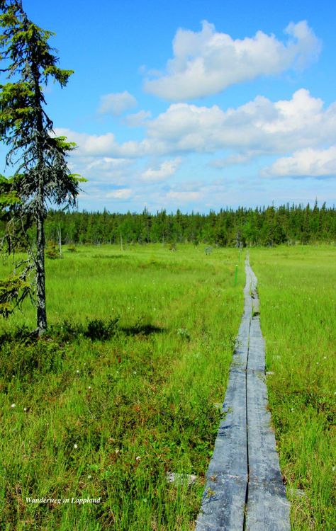Produktbild: TRESCHER Reisef&uuml;hrer Finnland