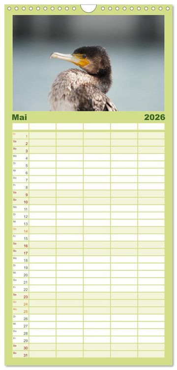 Produktbild: Familienplaner 2026 - Wilde Vogelwelt Helgoland mit 5 Spalten (Wandkalender, 21 x 45 cm) CALVENDO