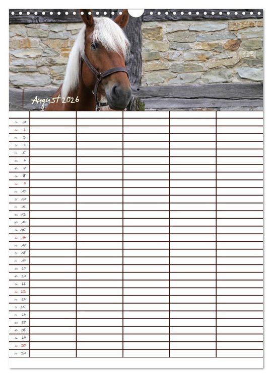 Produktbild: Der Kaltblut-Familienplaner (Wandkalender 2026 DIN A3 hoch), CALVENDO Monatskalender
