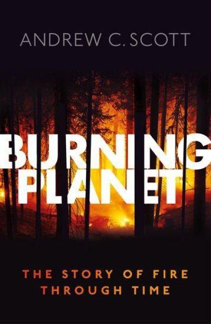 Produktbild: Burning Planet