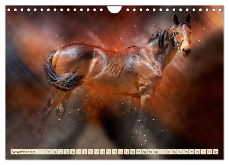 Produktbild: Eleganz und Sch&ouml;nheit - Pferde (Wandkalender 2026 DIN A4 quer), CALVENDO Monatskalender