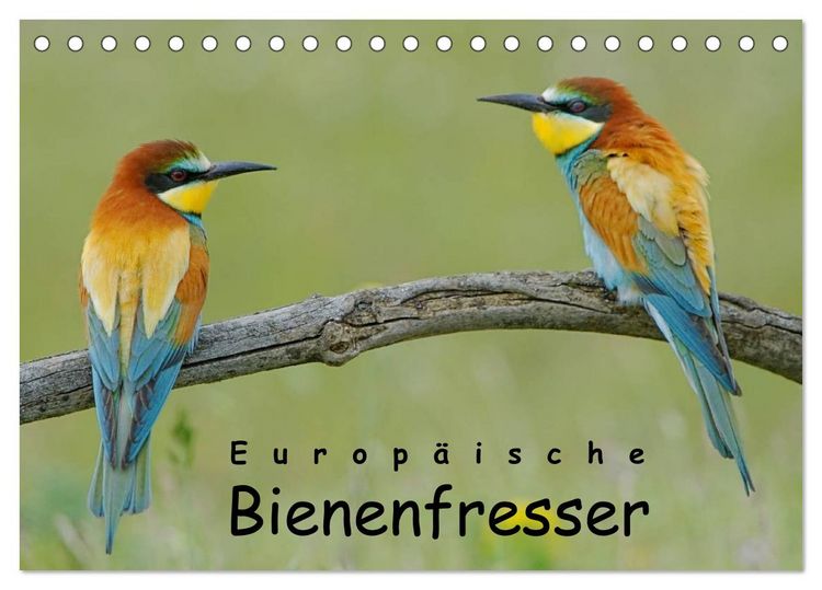 Produktbild: Europ&auml;ische Bienenfresser (Tischkalender 2026 DIN A5 quer), CALVENDO Monatskalender