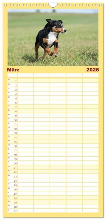 Produktbild: Familienplaner 2026 - Appenzeller Sennenhunde - Fr&ouml;hliche Kameraden mit 5 Spalten (Wandkalender, 21 x 45 cm) CALVENDO