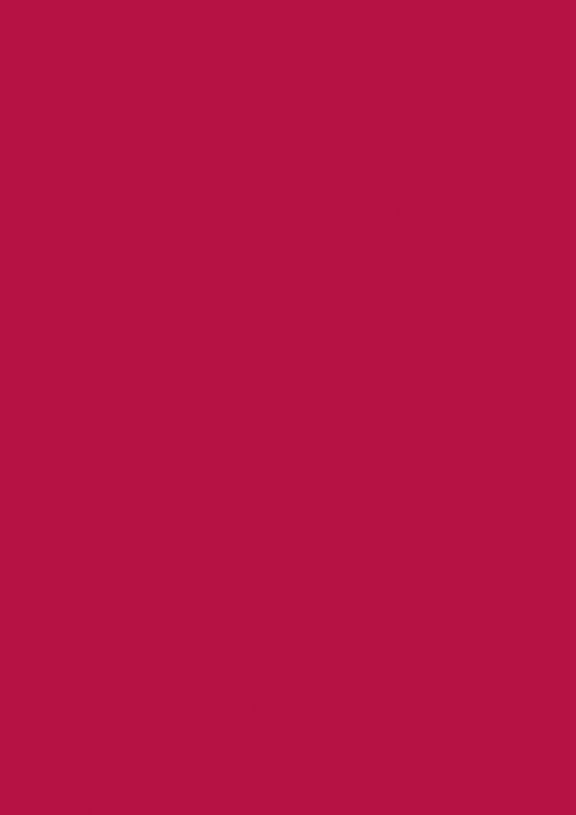 Produktbild: Brunnen Universalpapier A4 80g m.rot 50Bl