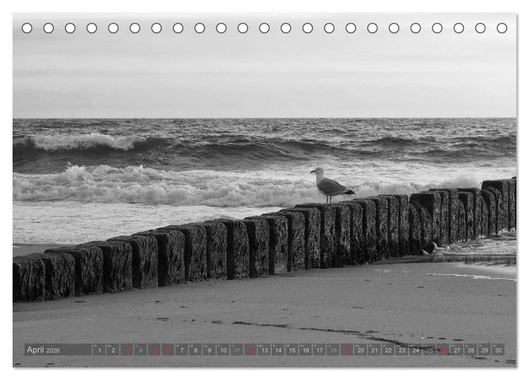 Produktbild: 54&deg;54'57"N 8&deg;19'51"E SYLT (Tischkalender 2026 DIN A5 quer), CALVENDO Monatskalender