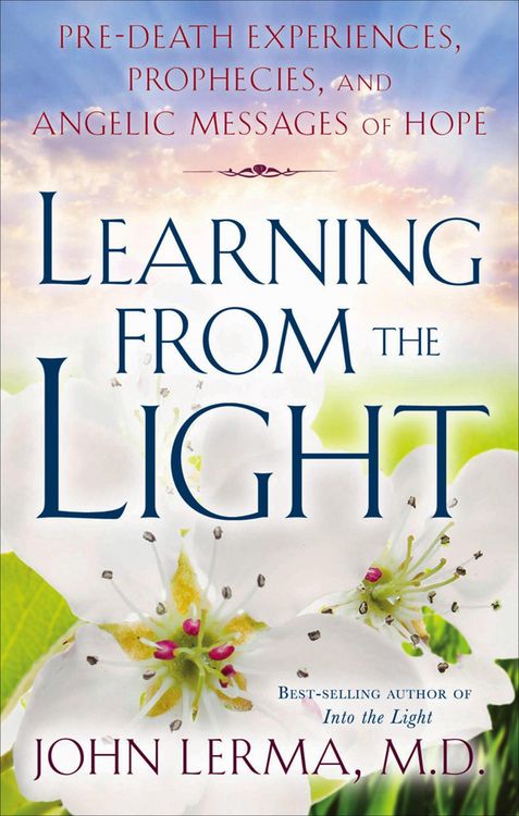 Produktbild: Learning from the Light