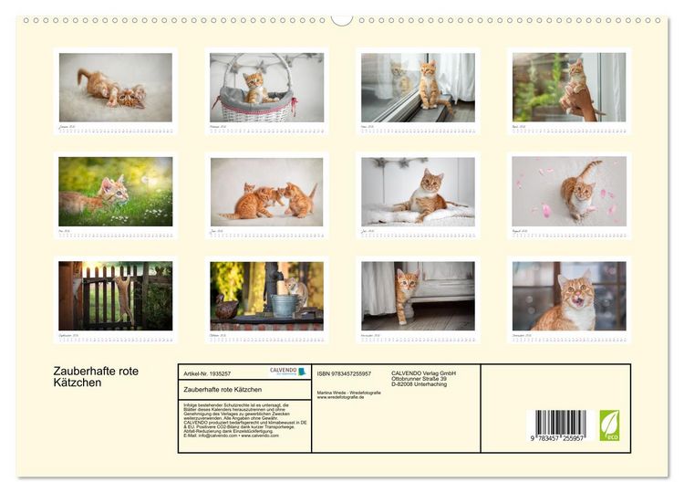 Produktbild: Zauberhafte rote K&auml;tzchen (hochwertiger Premium Wandkalender 2026 DIN A2 quer), Kunstdruck in Hochglanz