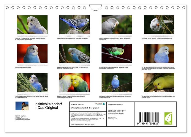 Produktbild: Wellensittichkalender! - Das Original (Wandkalender 2026 DIN A4 quer), CALVENDO Monatskalender