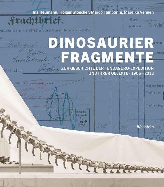 Produktbild: Dinosaurierfragmente